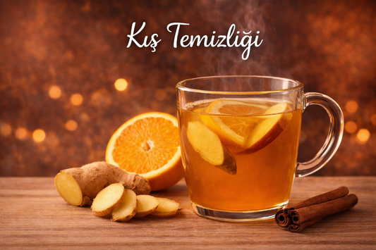 Kış Temizliği
