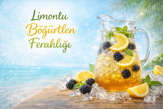 Limonlu Böğürtlen Ferahlığı