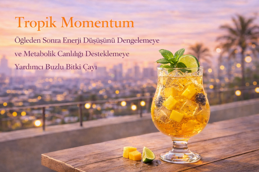 Tropik Momentum