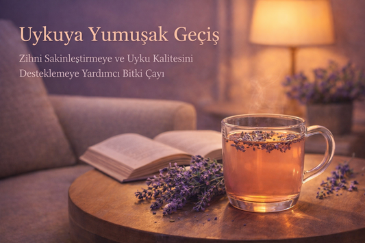 Uykuya Yumuşak Geçiş